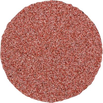 PFERD TOOLS CD 25 A 80 42750308 Schuurblad Korrelgrootte (num) 80 (Ø) 25 mm 100 stuk(s)