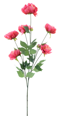 Paeony spray Sapporo fuchsia 126 cm kunstbloem Erutan Avon - Erutan avon Paeony spray Sapporo fuchsia 126 cm kunstbloem Erutan Avon - Erutan avon