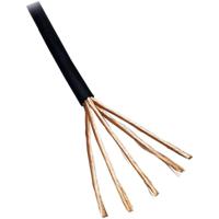 BKL Electronic 1106006/50 Audiokabel 2 x 0.1 mm² Zwart 50 m - thumbnail