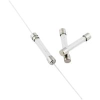 TRU COMPONENTS 1576690 TC-530219 Buiszekering (Ø x l) 5 mm x 30 mm 1.6 A 500 V Normaal -mT- Inhoud 1 stuk(s) - thumbnail