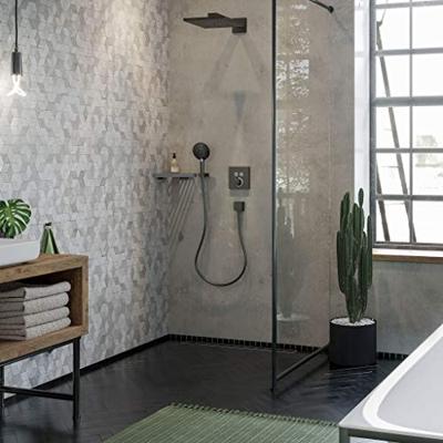 Thermostaat Afbouwdeel ShowerSelect HansGrohe Voor 2 Functies Geborsteld Zwart Chroom
