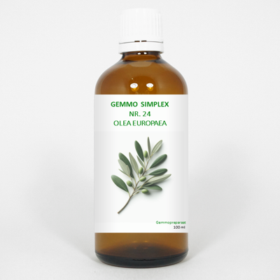 Balancepharma Gemmo simplex 24 olea europaea 100 Milliliter