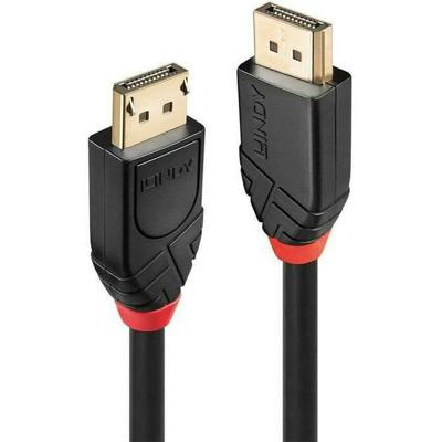 LINDY 41079 DisplayPort-kabel DisplayPort Aansluitkabel DisplayPort-stekker, DisplayPort-stekker 15.00 m Zwart Actief met signaalversterking