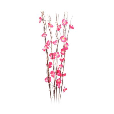 Decoratieve plant