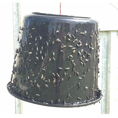 Sticky-Trap dazenlijm 1,5L Sticky-Trap dazenlijm 1,5L