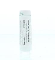 Hepar sulphur D6 6 Gram - thumbnail