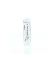 Homeoden Heel Viola tricolor D30 6 Gram - thumbnail