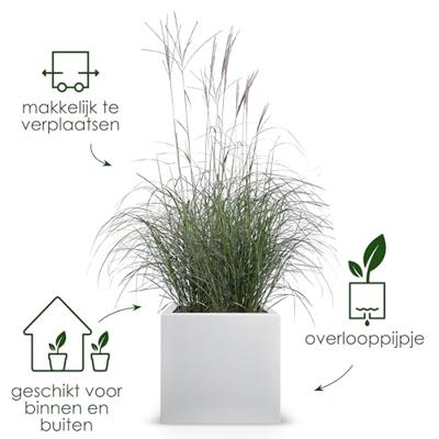 Elho Vivo Next Square 30 Bloembak - Wit - Ø 30 x H 29 cm - binnen/buiten - 100% gerecycled