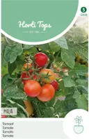 Zaden Tomaten Maja -Balkontomaat Hortitops - Hortitops - thumbnail
