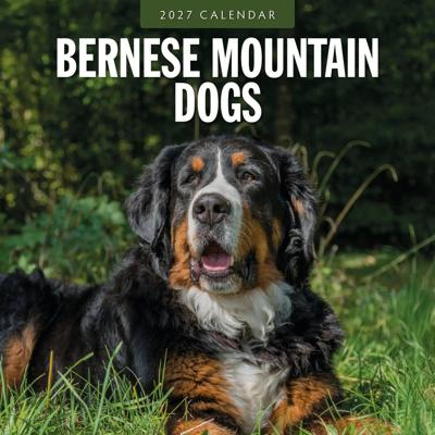 Berner Sennen Kalender 2027 Berner Sennen Kalender 2027