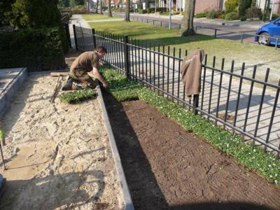 Plantenmat vasteplanten maagdenpalm Vinca Alba prijs per 1m2 cm Covergreen - Covergreen