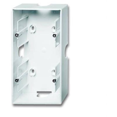 Busch-Jaeger 2-voudig Opbouwbehuizing Verkeerswit, Wit 2CKA001799A0902