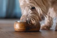 Designed By Lotte Eet- en Drinkbak Hout Hond Mandira 16,5cm - thumbnail
