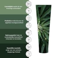 Ecodenta Sensitive Care CBD & Probiotics Tandpasta - thumbnail