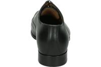 Van Bommel RAFFA 02.02 - alle - thumbnail