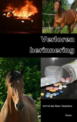 Astrid  den Boer Hasenbos Verloren herinnering