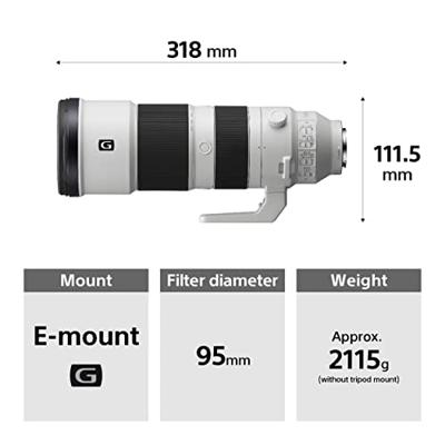Sony FE 200-600mm F/5.6-6.3 G OSS - thumbnail