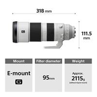 Sony SEL FE 200-600mm F5.6-6.3 G OSS - thumbnail