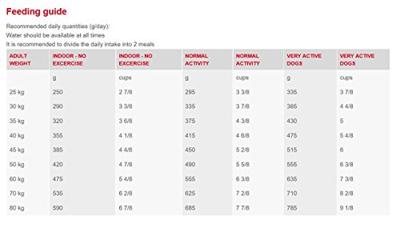 Royal Canin Expert Neutered Adult Large Dogs hondenvoer 2 x 12 kg