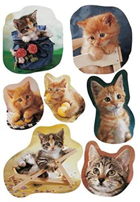 Etiketten voor het verzamelen en verzamelen, kat, 3 bladeren