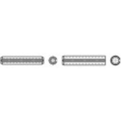 TOOLCRAFT TO-422577 Spanstiften (Ø x l) 10 mm x 16 mm Verenstaal 100 stuk(s)