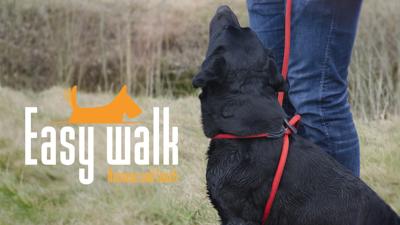 Easy Walk Handmodel Rood - Mini