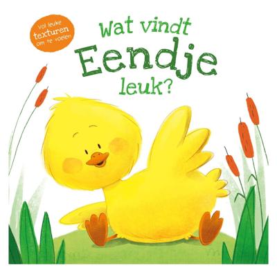 Rebo Productions Wat vindt eendje leuk?