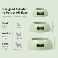 Voerbak voor honden United Pets Pappy 350 ml Groen Polypropyleen - thumbnail