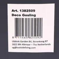 Ganzenkuiken - thumbnail