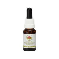Australian Bush Bush gardenia 15 Milliliter - thumbnail