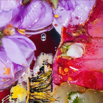 Forward Constant Motion - CD (0809236147523)