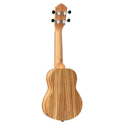 Ortega RFU10ZE Timber Series Natural E/A sopraan ukelele met gigbag