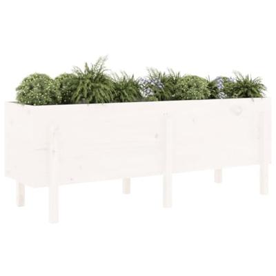 Plantenbak verhoogd 160x50x57 cm massief grenenhout wit
