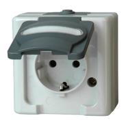 Kopp 103356006 BlueElectric Compleet Wandcontactdoos met randaarde en klapdeksel spatwaterdicht Grijs 1 stuks 1 stuk(s) - thumbnail