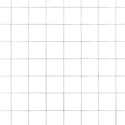 VidaXL Kippengaas 25x0,5 m gegalvaniseerd staal zilverkleurig VidaXL Kippengaas 25x0,5 m gegalvaniseerd staal zilverkleurig