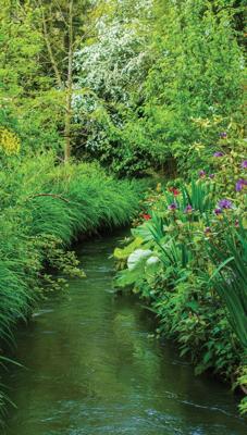 Beekje 70x130cm Tuinschilderij Customize-it - Customize it