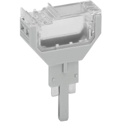 WAGO 2002-810 Blindstekker 1 stuk(s)