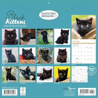 Zwarte Kittens Kalender 2026