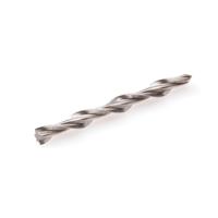 Hoenderdaal gasbetonnagel [100st] RVS-A2 6x60mm - thumbnail