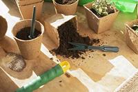 Connex Set Om Jonge Planten Te Verplaatsen - FLOR78850 - thumbnail