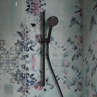 hansgrohe Activera S doucheset 95 - 2jet - EcoSmart unica - met glijstang 65cm - mat zwart 28044670 hansgrohe Activera S doucheset 95 - 2jet - EcoSmart unica - met glijstang 65cm - mat zwart 28044670
