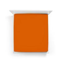 Bella Donna Bella Donna Hoeslaken Jersey Tweepersoons 140x190-160x220 cm Kurkuma-0714 - thumbnail