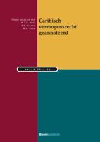Caribisch vermogensrecht geannoteerd (Paperback) - thumbnail