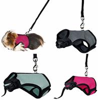 TRIXIE SOFTTUIG MET RIEM CAVIA ASSORTI 18-25 CM / 120 CM 4 ST - thumbnail