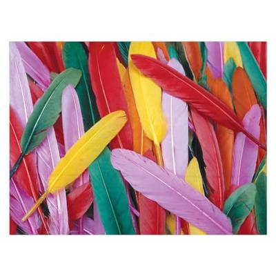 Colorations - gekleurde eendenveren, 28,5 gram