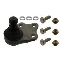 Fuseekogel 38912 - thumbnail