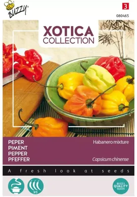 Zaden Xotica Peper Mme Jeannette Buzzy - Buzzy