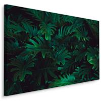 Schilderij - Varens, premium print - thumbnail