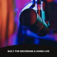 SE Electronics Dynacaster dynamische broadcast microfoon - thumbnail