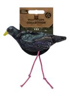 Wild Life Cat Spreeuw - thumbnail